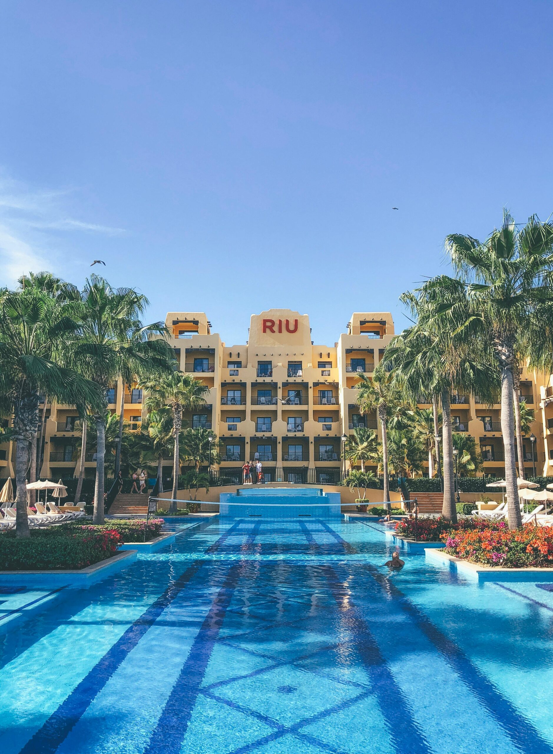 pexels-zachtheshoota-4023386