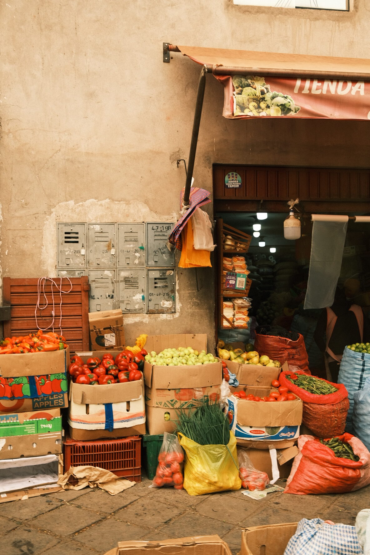 beatriz-carvajal-dupe